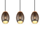 Trio Lighting Trio BIDAR pendant light | 3x E27 max 40W | black with gold | IP20 | 21.5 cm