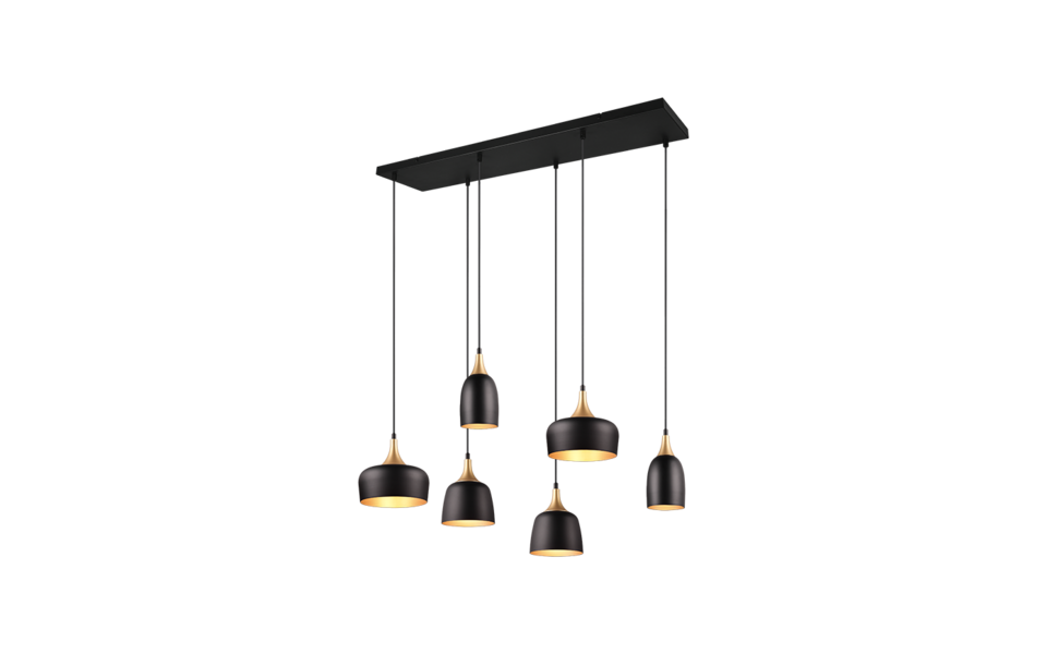 Trio Lighting Trio CHIRAZ pendant light | 6x E27 max 40W | black | IP20 | 150 cm Trio Lighting Trio CHIRAZ pendant light | 6x E27 max 40W | black | IP20 | 150 cm