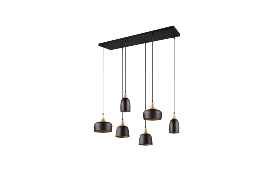 Trio Lighting Trio CHIRAZ pendant light | 6x E27 max 40W | black | IP20 | 150 cm Trio Lighting Trio CHIRAZ pendant light | 6x E27 max 40W | black | IP20 | 150 cm