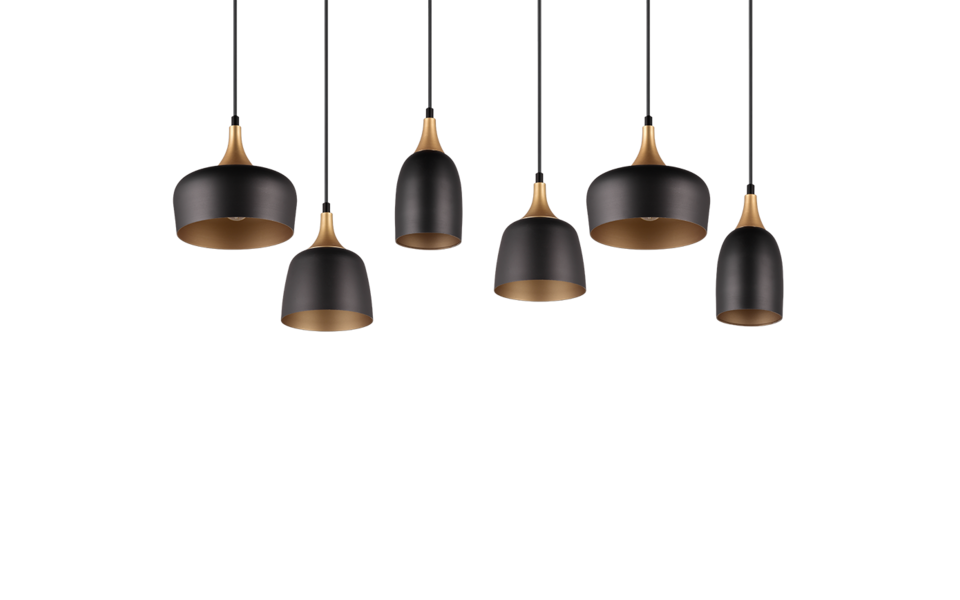 Trio Lighting Trio CHIRAZ pendant light | 6x E27 max 40W | black | IP20 | 150 cm Trio Lighting Trio CHIRAZ pendant light | 6x E27 max 40W | black | IP20 | 150 cm