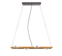 Trio Lighting Trio TAILOR pendant light | 4x E27 max 40W | IP20 | 150 cm