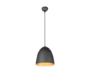 Trio Lighting Trio TILDA hanglamp | E27 Fitting | zwart met goud | Ø 25 cm | IP20 | excl. 1x E27 | max. 40W