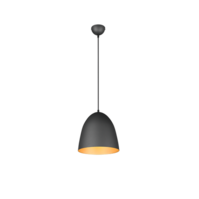 Trio TILDA pendant light | E27 | black/gold | Ø 25 cm | IP20