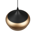 Trio Lighting Trio CHIRON hanglamp | E27 Fitting | messing mat | Ø 45 cm | IP20 | excl. 1x E27 | max. 40W
