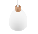 Trio Lighting Trio JAGGER hanglamp | E27 Fitting | wit mat | Ø 25 cm | IP20 | excl. 1x E27 | max. 40W
