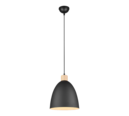 Trio Lighting Trio JAGGER pendant light | 1x E27 max 40W | black | Ø 25 cm | IP20 | 150 cm