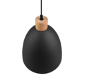 Trio Lighting Trio JAGGER hanglamp | E27 Fitting | mat zwart | Ø 25 cm | IP20 | excl. 1x E27 | max. 40W