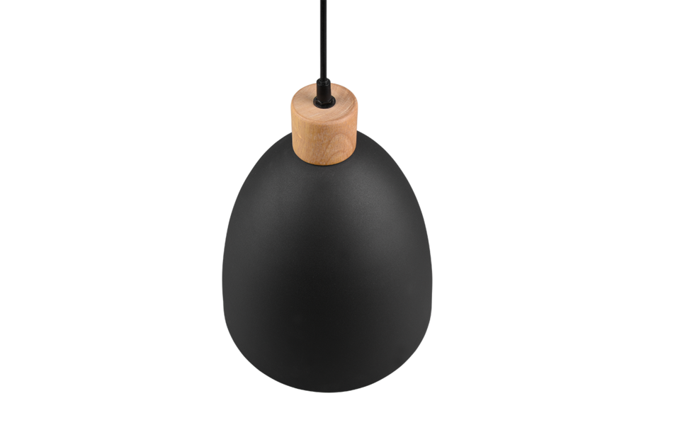 Trio Lighting Trio JAGGER hanglamp | E27 Fitting | mat zwart | Ø 25 cm | IP20 | excl. 1x E27 | max. 40W Trio Lighting Trio JAGGER hanglamp | E27 Fitting | mat zwart | Ø 25 cm | IP20 | excl. 1x E27 | max. 40W