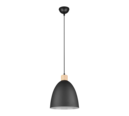Trio Lighting Trio JAGGER pendant light | 1x E27 max 40W | black | Ø 25 cm | IP20 | 150 cm