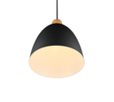 Trio Lighting Trio JAGGER hanglamp | E27 Fitting | mat zwart | Ø 25 cm | IP20 | excl. 1x E27 | max. 40W
