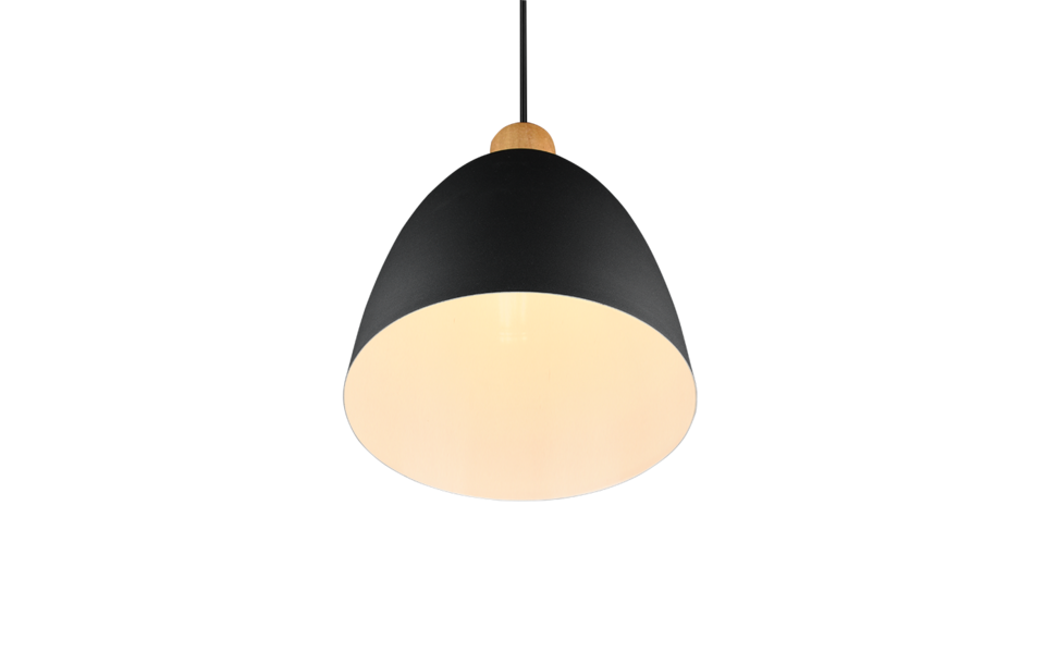 Trio Lighting Trio JAGGER pendant light | 1x E27 max 40W | black | Ø 25 cm | IP20 | 150 cm
