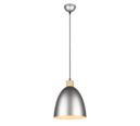 Trio Lighting Trio JAGGER hanglamp | E27 Fitting | nickel antik | Ø 25 cm | IP20 | excl. 1x E27 | max. 40W