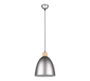 Trio Lighting Trio JAGGER pendant light | 1x E27 max 40W | Ø 25 cm | IP20 | 150 cm
