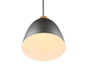 Trio Lighting Trio JAGGER pendant light | 1x E27 max 40W | Ø 25 cm | IP20 | 150 cm