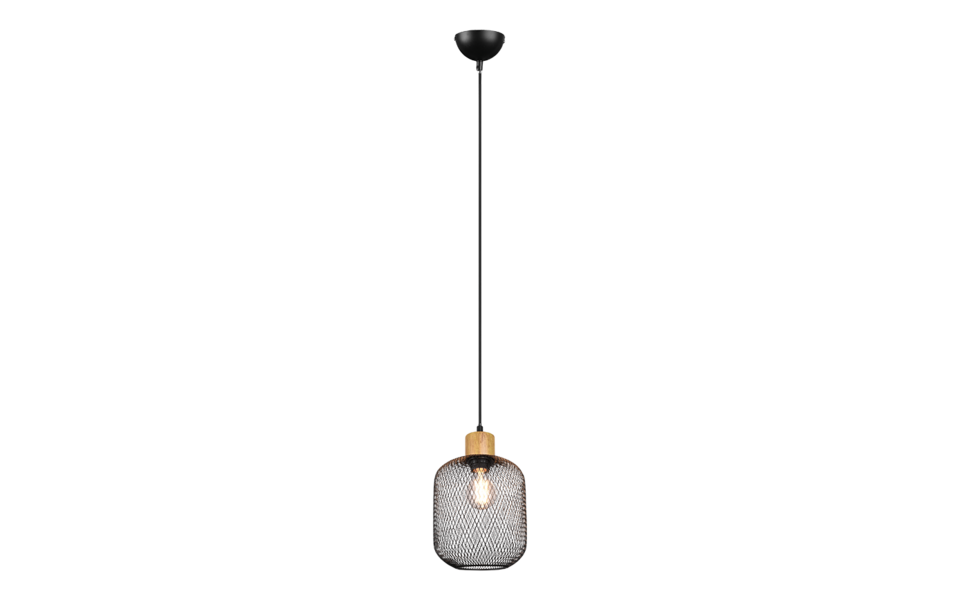 Trio Lighting Trio CALIMERO hanglamp | E27 Fitting | mat zwart | Ø 18 cm | IP20 | excl. 1x E27 | max. 40W