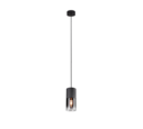 Trio Lighting Trio ROBIN hanglamp | E27 Fitting | mat zwart met rookkleur | Ø 10 cm | IP20 | excl. 1x E27 | max. 28W