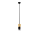 Trio Lighting Trio ROBIN hanglamp | E27 Fitting | messing mat met rookkleur | Ø 10 cm | IP20 | excl. 1x E27 | max. 28W