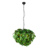 Kleur