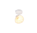 Trio Lighting Trio CALVI ceiling spotlight | 1x E14 max 40W | chrome | IP20 | 18 cm