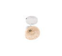 Trio Lighting Trio CALVI plafondspot | E14 Fitting | wit mat met natuurlijke afwerking | 14 x 13 cm | IP20 | excl. 1x E14 | max. 10W