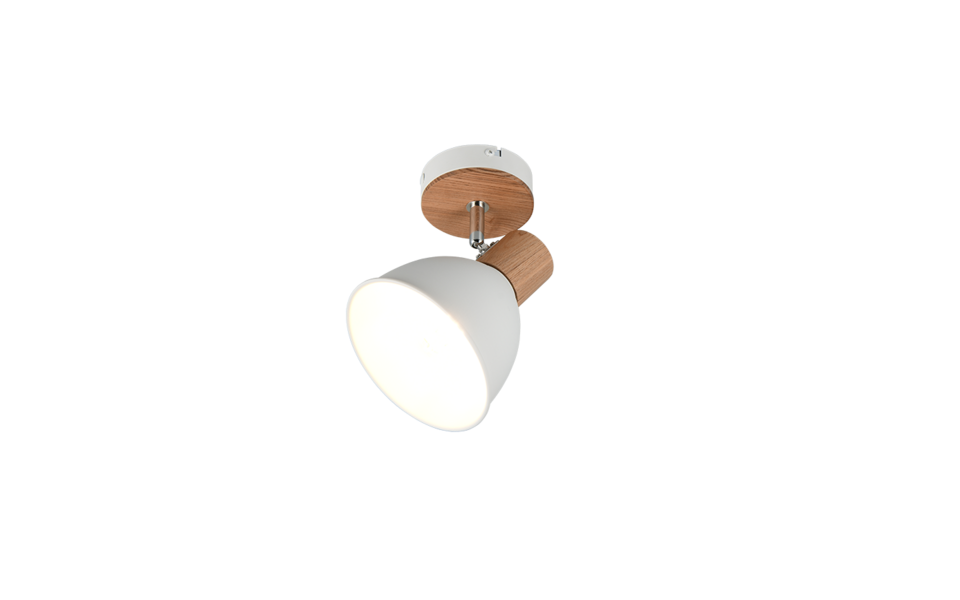 Trio Lighting Trio DELUME plafondspot | E27 Fitting | wit mat | 19 x 15 cm | IP20 | excl. 1x E27 | max. 40W Trio Lighting Trio DELUME plafondspot | E27 Fitting | wit mat | 19 x 15 cm | IP20 | excl. 1x E27 | max. 40W