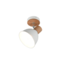 Kleur Kleur
