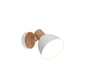 Trio Lighting Trio DELUME ceiling spotlight | 1x E27 max 40W | chrome | IP20 | 24.5 cm