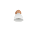 Trio Lighting Trio DELUME plafondspot | E27 Fitting | wit mat | 19 x 15 cm | IP20 | excl. 1x E27 | max. 40W