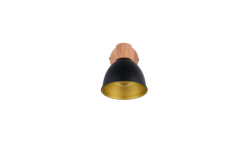 Trio Lighting Trio DELUME ceiling spotlight | 1x E27 max 40W | black | IP20 | 24.5 cm Trio Lighting Trio DELUME ceiling spotlight | 1x E27 max 40W | black | IP20 | 24.5 cm