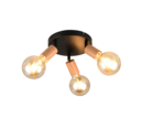 Trio Lighting Trio LAMEGO ceiling spotlight | 3x E27 max 40W | Ø 29 cm | IP20 | 12 cm