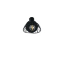 Trio Lighting Trio YAKO ceiling spotlight | 1x E14 max 40W | black | IP20 | 13 cm