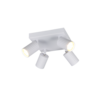 Kleur Kleur