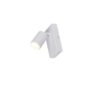 Kleur