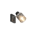 Trio Lighting Trio JACK plafondspot | E27 Fitting | mat zwart met rookkleur | Ø 9 cm | IP20 | excl. 1x E27 | max. 10W