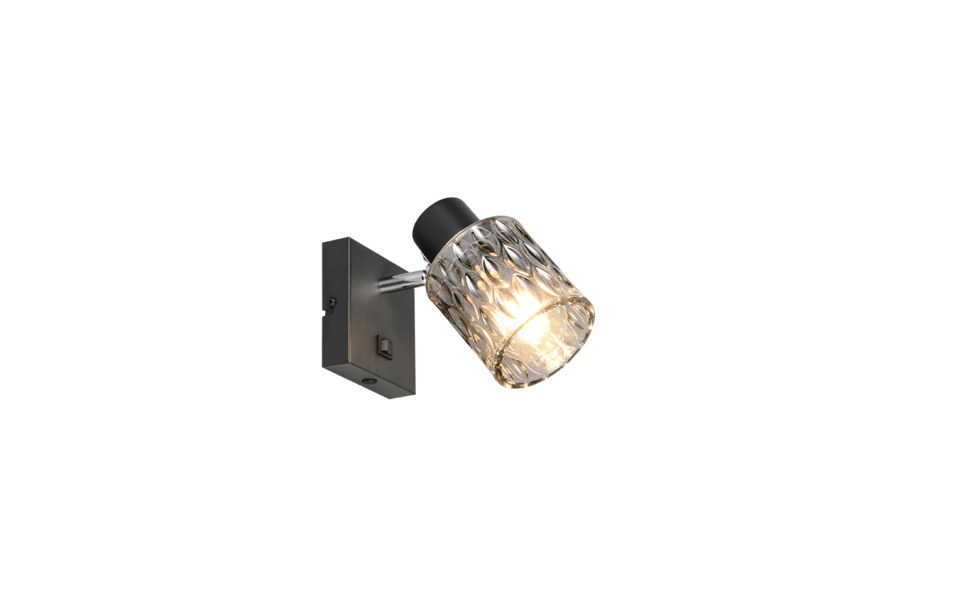 Trio Lighting Trio JACK plafondspot | E27 Fitting | mat zwart met rookkleur | Ø 9 cm | IP20 | excl. 1x E27 | max. 10W Trio Lighting Trio JACK plafondspot | E27 Fitting | mat zwart met rookkleur | Ø 9 cm | IP20 | excl. 1x E27 | max. 10W