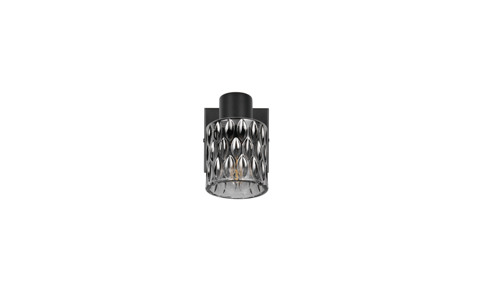 Trio Lighting Trio JACK plafondspot | E27 Fitting | mat zwart met rookkleur | Ø 9 cm | IP20 | excl. 1x E27 | max. 10W Trio Lighting Trio JACK plafondspot | E27 Fitting | mat zwart met rookkleur | Ø 9 cm | IP20 | excl. 1x E27 | max. 10W