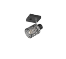 Trio Lighting Trio JACK plafondspot | E27 Fitting | mat zwart met rookkleur | Ø 9 cm | IP20 | excl. 1x E27 | max. 10W