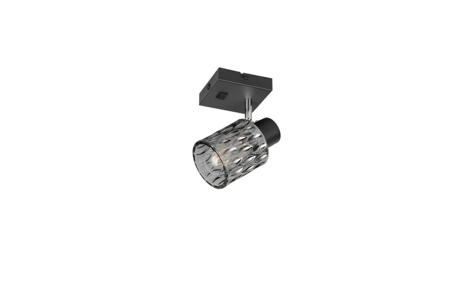Trio Lighting Trio JACK ceiling spotlight | 1x E27 max 40W | black | Ø 10 cm | IP20 | 16 cm