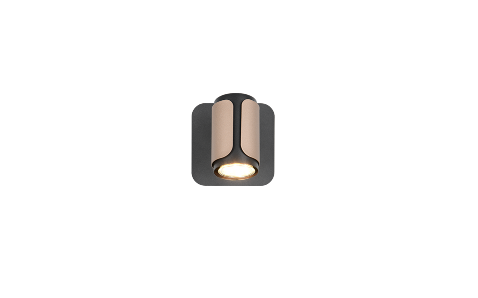 Trio Lighting Trio GILLAN ceiling spotlight | 1x GU10 | mocha brown | IP20 | 12 cm