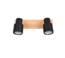 Trio Lighting Trio PIERRE plafondspot | GU10 Fitting | mat zwart | 31 x 6 cm | IP20 | excl. 2x GU10 | max. 10W