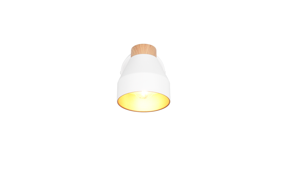 Trio Lighting Trio VALENTIN plafondspot | E14 Fitting | wit mat | Ø 11 cm | IP20 | excl. 1x E14 | max. 10W