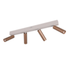 Wand- en plafondmontage Wand- en plafondmontage