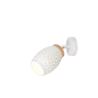 Kleur