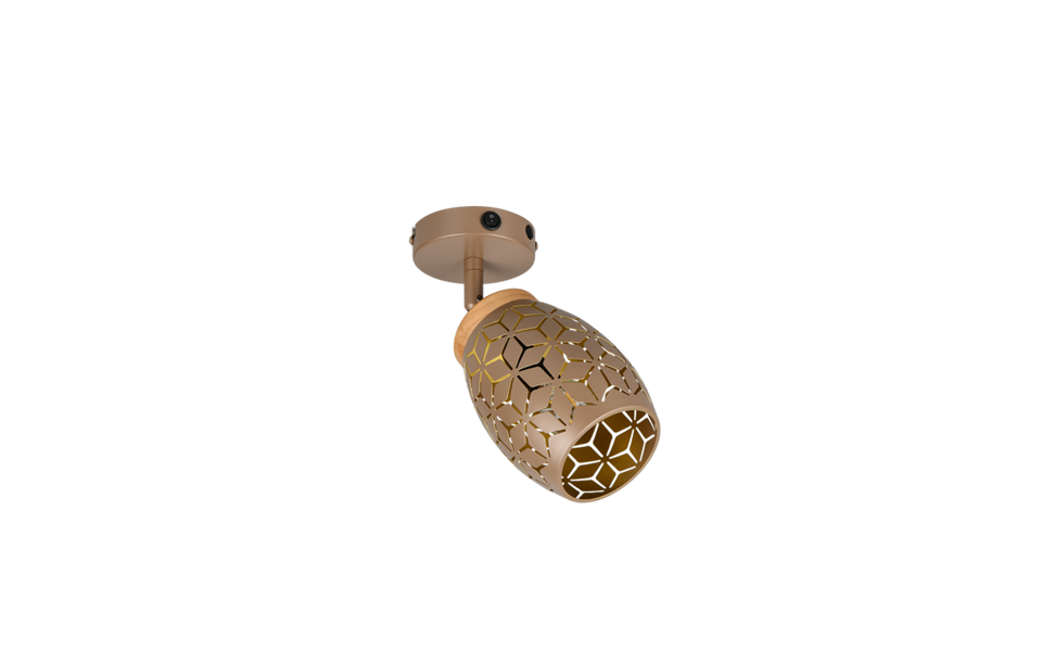 Trio Lighting Trio BIDAR ceiling spotlight | 1x E14 max 40W | mocha brown | Ø 12 cm | IP20
