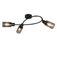 Trio MARS ceiling spotlight | E14 | black | IP20