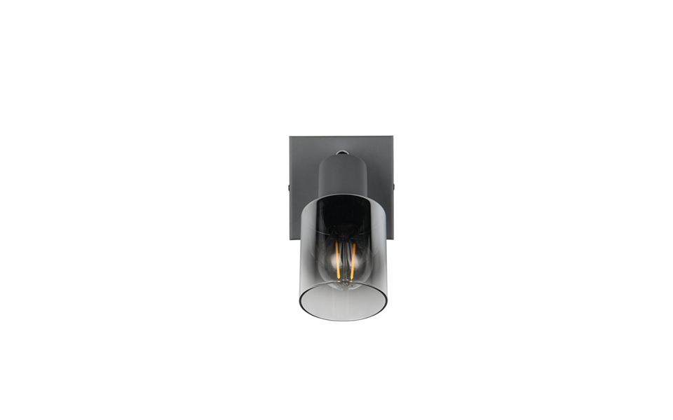 Trio Lighting Trio CADIZ plafondspot | E14 Fitting | antraciet | Ø 7 cm | IP20 | excl. 1x E14 | max. 10W