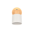 Trio Lighting Trio SHANTI plafondspot | E14 Fitting | warm grijs | Ø 9 cm | IP20 | excl. 1x E14 | max. 10W