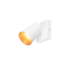 Kleur Kleur