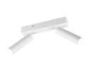 Trio Lighting Trio AMBALA ceiling spotlight | 2x 5W 500 lm 4000K | chrome | IP20 | 16.5 cm