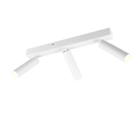 Trio AMBALA ceiling spotlight | chrome | IP20